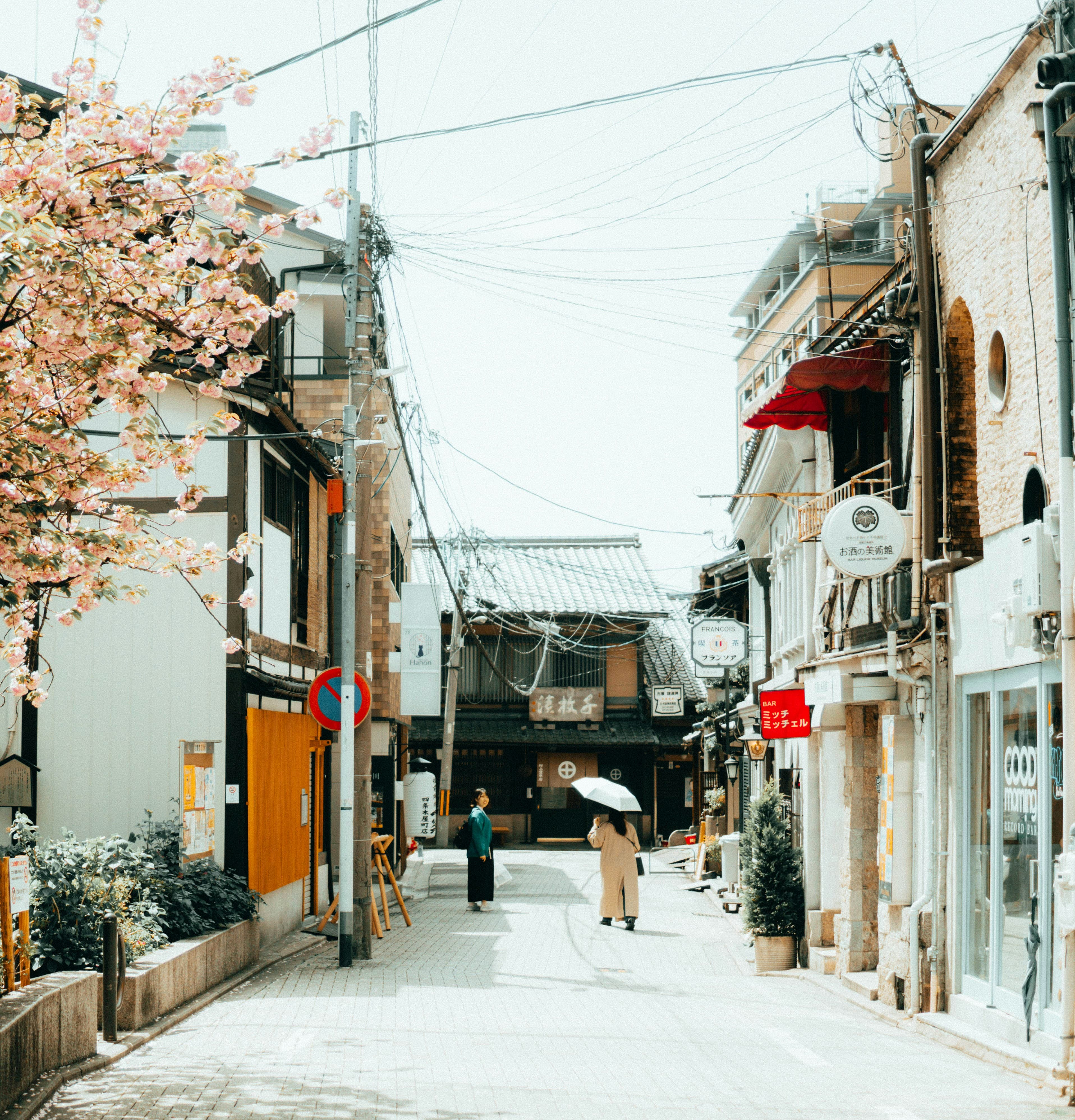 Cruises to Japan in 2026–2027: How to Plan Itineraries, Ports, and Travel Details