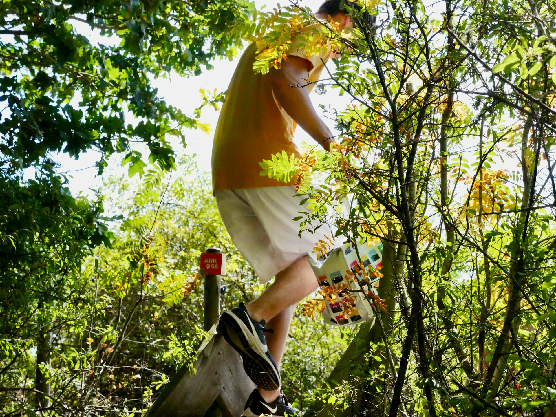 Transform Your Life with Sustainable Outdoor Activities: Practical Steps, Real Impact